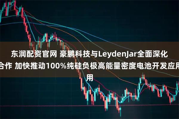 东润配资官网 豪鹏科技与LeydenJar全面深化合作 加快推动100%纯硅负极高能量密度电池开发应用