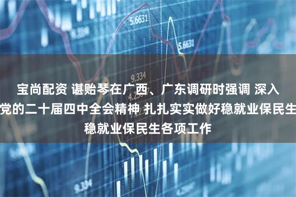 宝尚配资 谌贻琴在广西、广东调研时强调 深入学习贯彻党的二十届四中全会精神 扎扎实实做好稳就业保民生各项工作